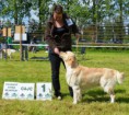 /album/fotogalerie-2/cane-3-jpg/